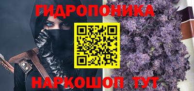 стафф Лесосибирск