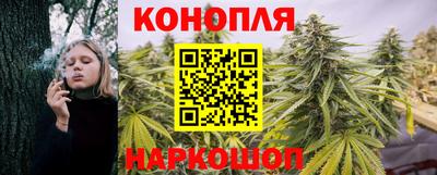 стафф Лесосибирск