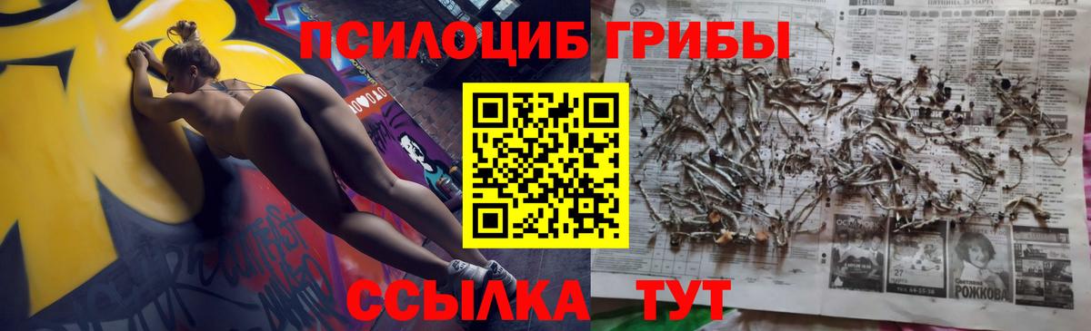 Псилоцибиновые грибы GOLDEN TEACHER Чистополь
